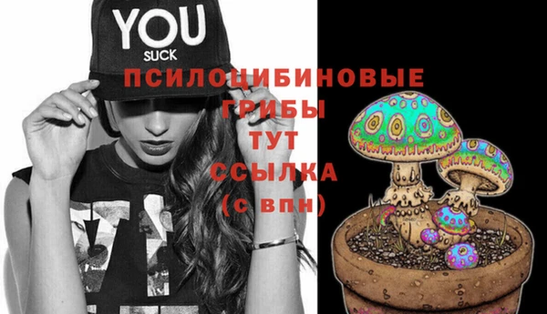 каннабис Алзамай
