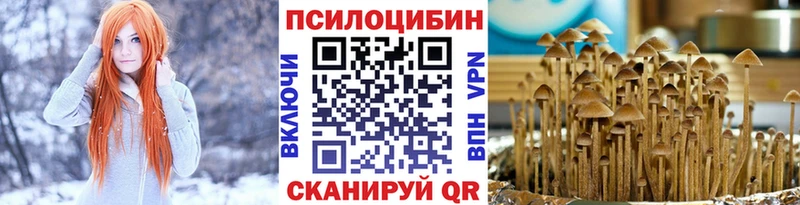 Псилоцибиновые грибы Psilocybine cubensis  Спасск-Рязанский 